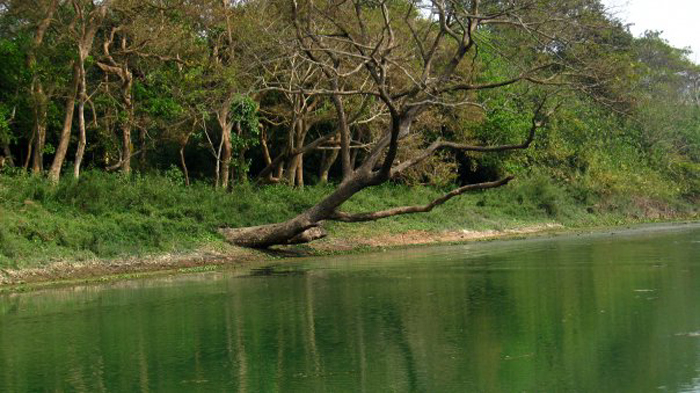 Parmadan Forest Ranaghat- Kolkata